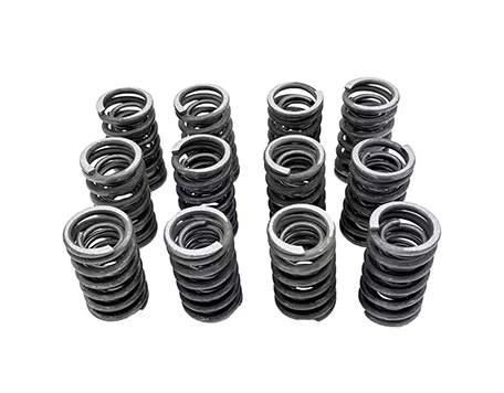 Valve Spring