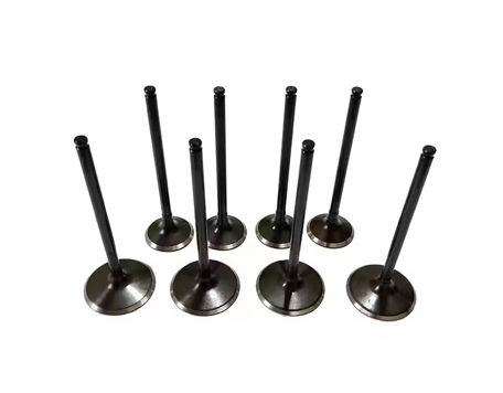 Engine Valve