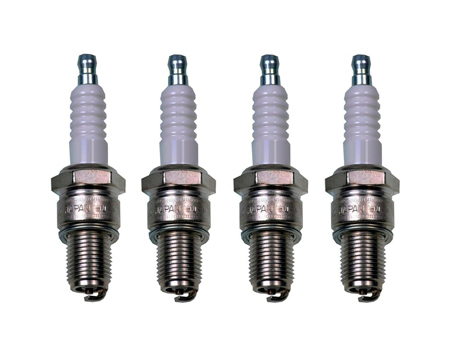 Sparg Plug